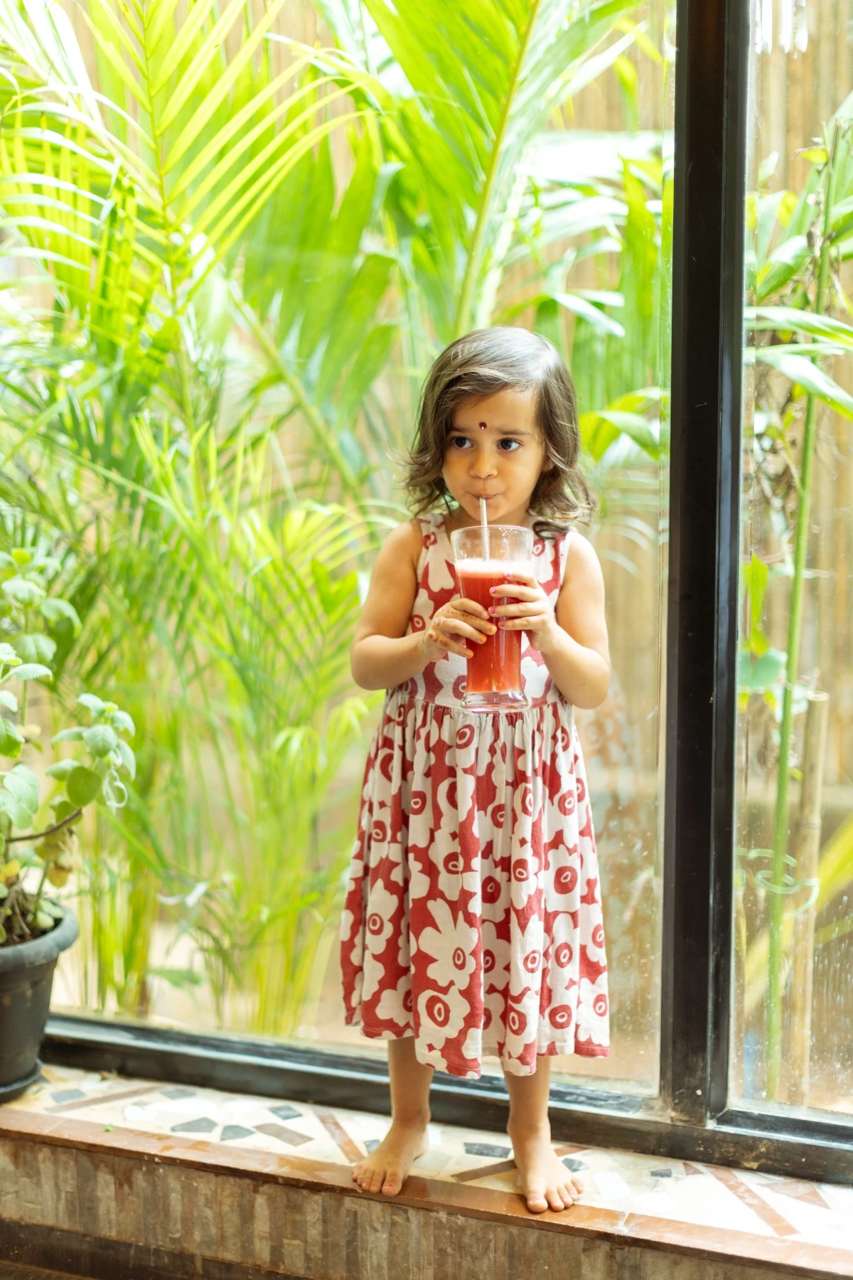 THE PALM HOUSE CAFE & BAR