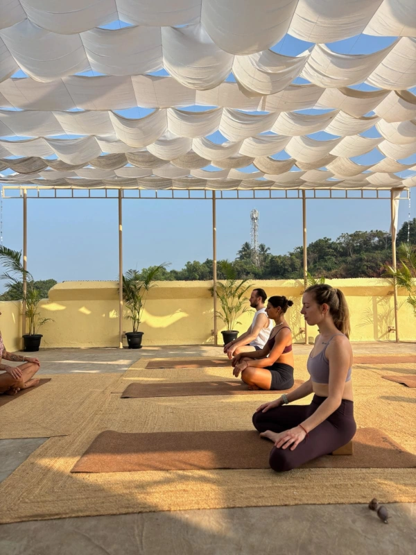 Palm Forest Palolem: Yoga & retreat